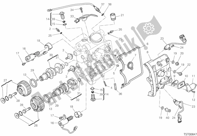 Todas as partes de Sistema De Cronometragem De Cabeça Horizontal do Ducati Diavel 1260 S USA 2019